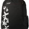 Skybags Casual Standard Backpack 28L, 2 Main Compartments